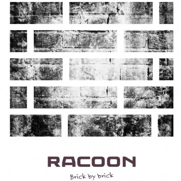 Racoon